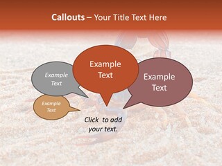 Aggression Scorpion Aggressive PowerPoint Template