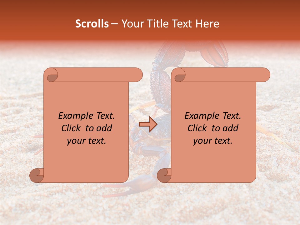 Aggression Scorpion Aggressive PowerPoint Template