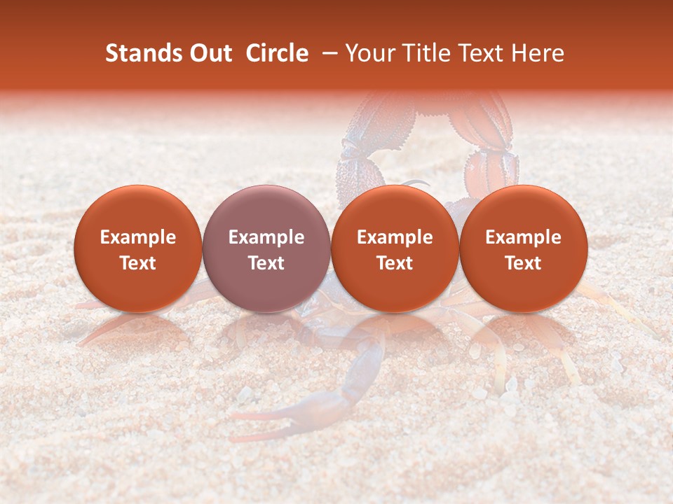 Aggression Scorpion Aggressive PowerPoint Template