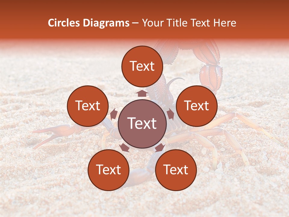 Aggression Scorpion Aggressive PowerPoint Template