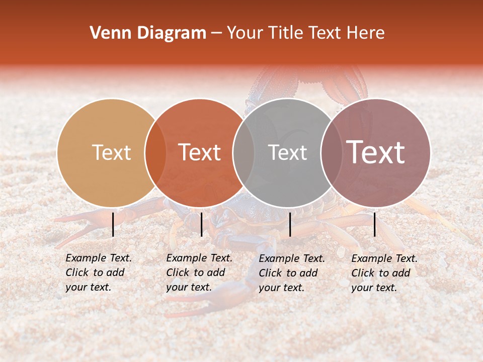 Aggression Scorpion Aggressive PowerPoint Template