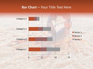Aggression Scorpion Aggressive PowerPoint Template