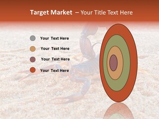 Aggression Scorpion Aggressive PowerPoint Template