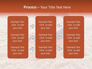 Aggression Scorpion Aggressive PowerPoint Template