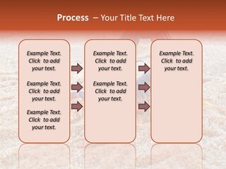 Aggression Scorpion Aggressive PowerPoint Template