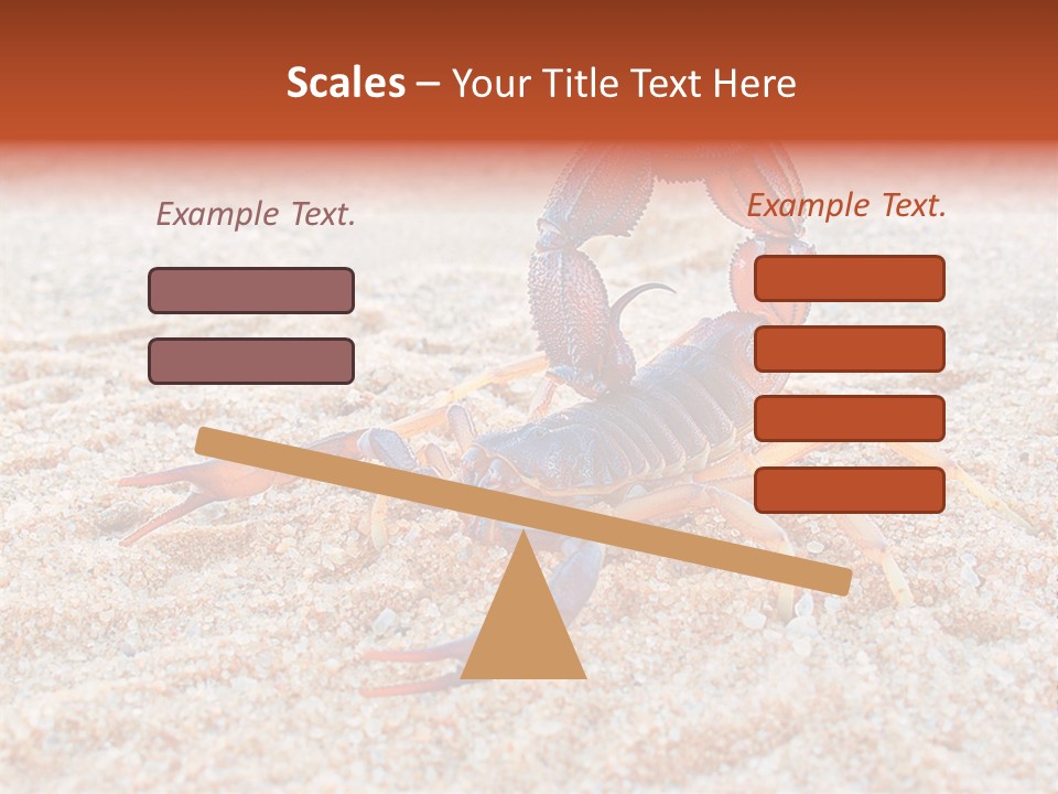 Aggression Scorpion Aggressive PowerPoint Template