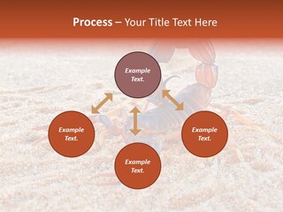 Aggression Scorpion Aggressive PowerPoint Template