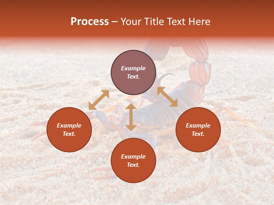 Aggression Scorpion Aggressive PowerPoint Template