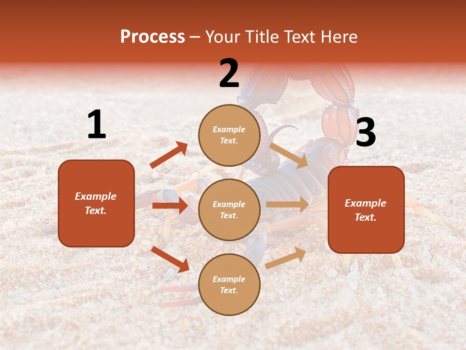 Aggression Scorpion Aggressive PowerPoint Template
