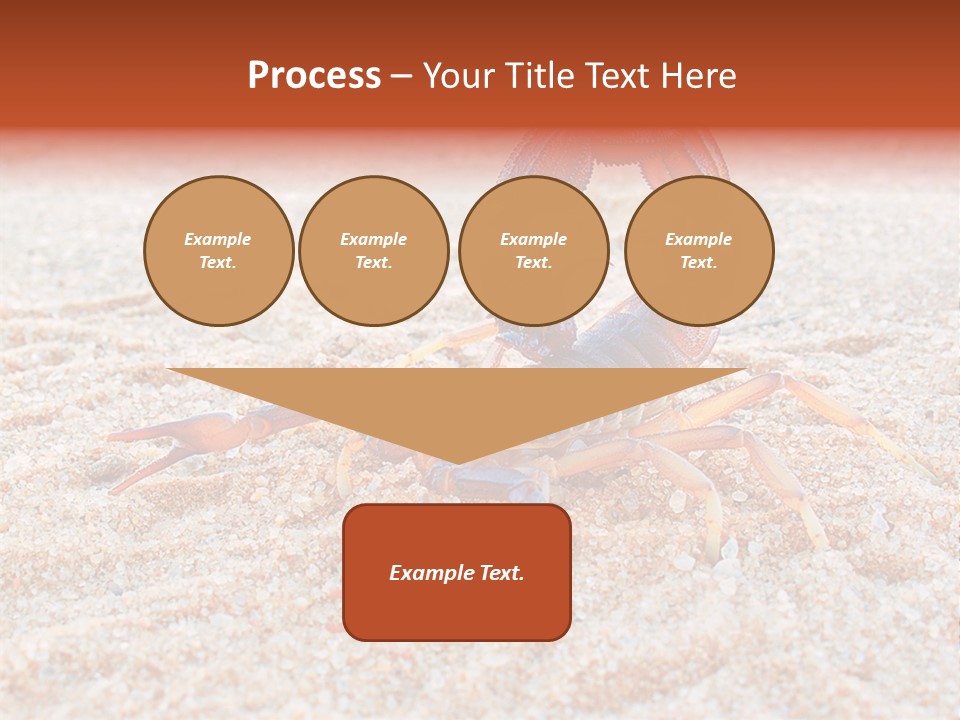 Aggression Scorpion Aggressive PowerPoint Template