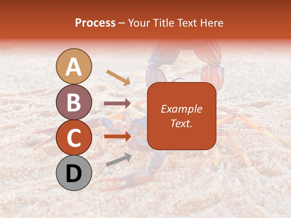 Aggression Scorpion Aggressive PowerPoint Template