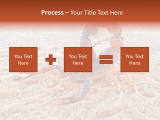 Aggression Scorpion Aggressive PowerPoint Template