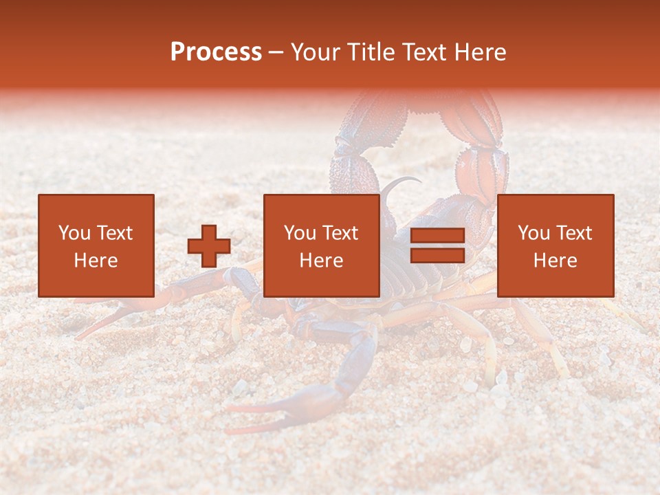 Aggression Scorpion Aggressive PowerPoint Template