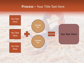 Aggression Scorpion Aggressive PowerPoint Template