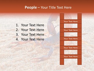 Aggression Scorpion Aggressive PowerPoint Template