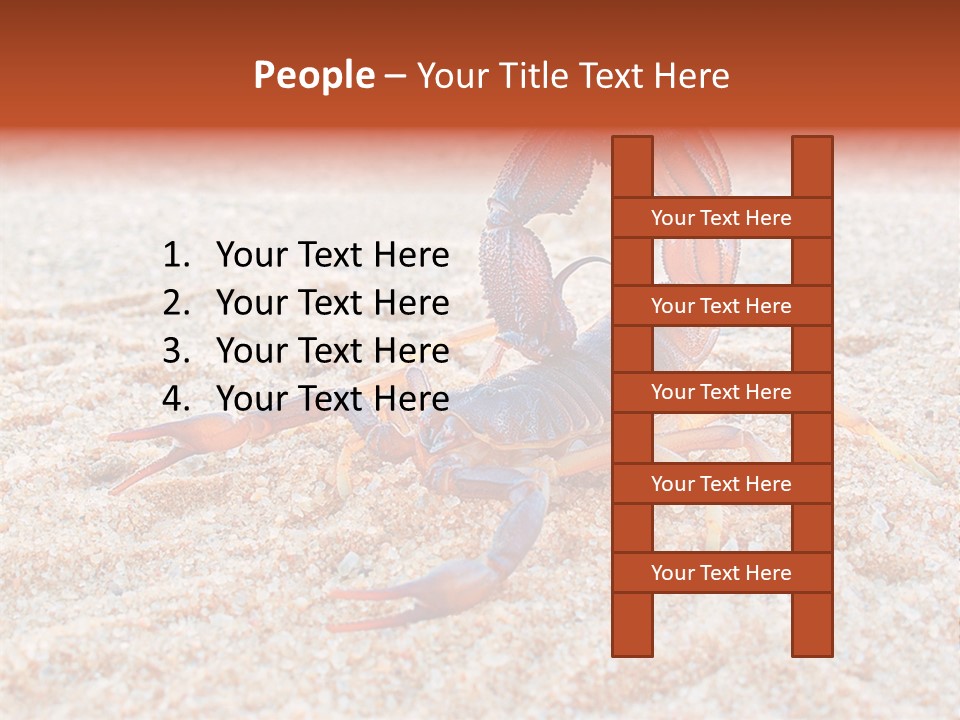 Aggression Scorpion Aggressive PowerPoint Template