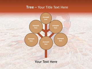 Aggression Scorpion Aggressive PowerPoint Template