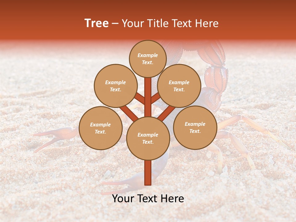 Aggression Scorpion Aggressive PowerPoint Template