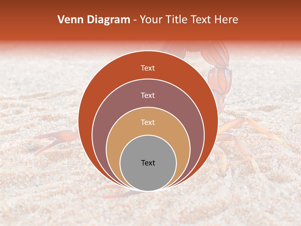 Aggression Scorpion Aggressive PowerPoint Template