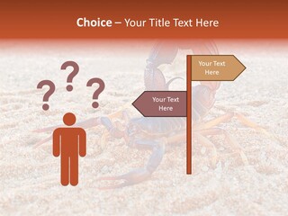 Aggression Scorpion Aggressive PowerPoint Template