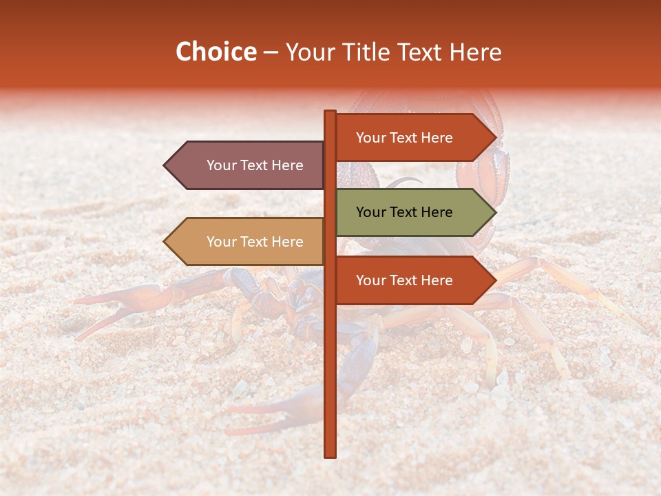 Aggression Scorpion Aggressive PowerPoint Template