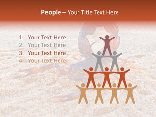 Aggression Scorpion Aggressive PowerPoint Template