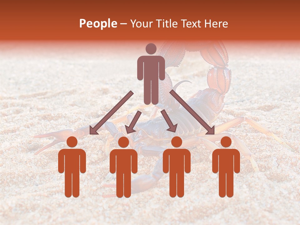 Aggression Scorpion Aggressive PowerPoint Template