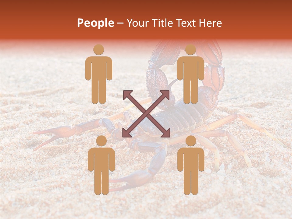 Aggression Scorpion Aggressive PowerPoint Template