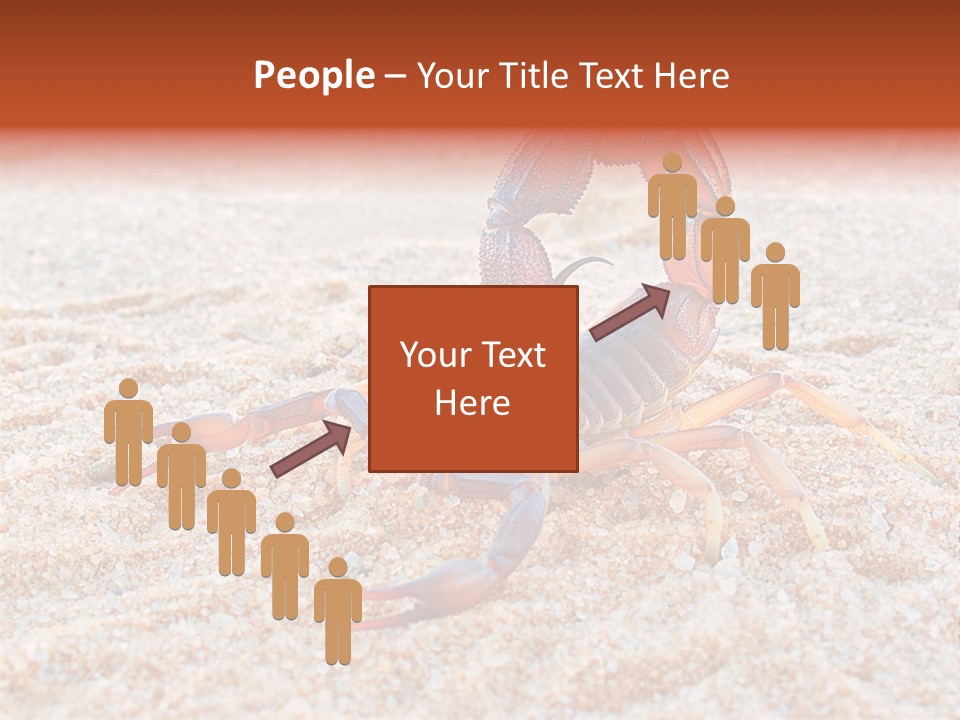 Aggression Scorpion Aggressive PowerPoint Template