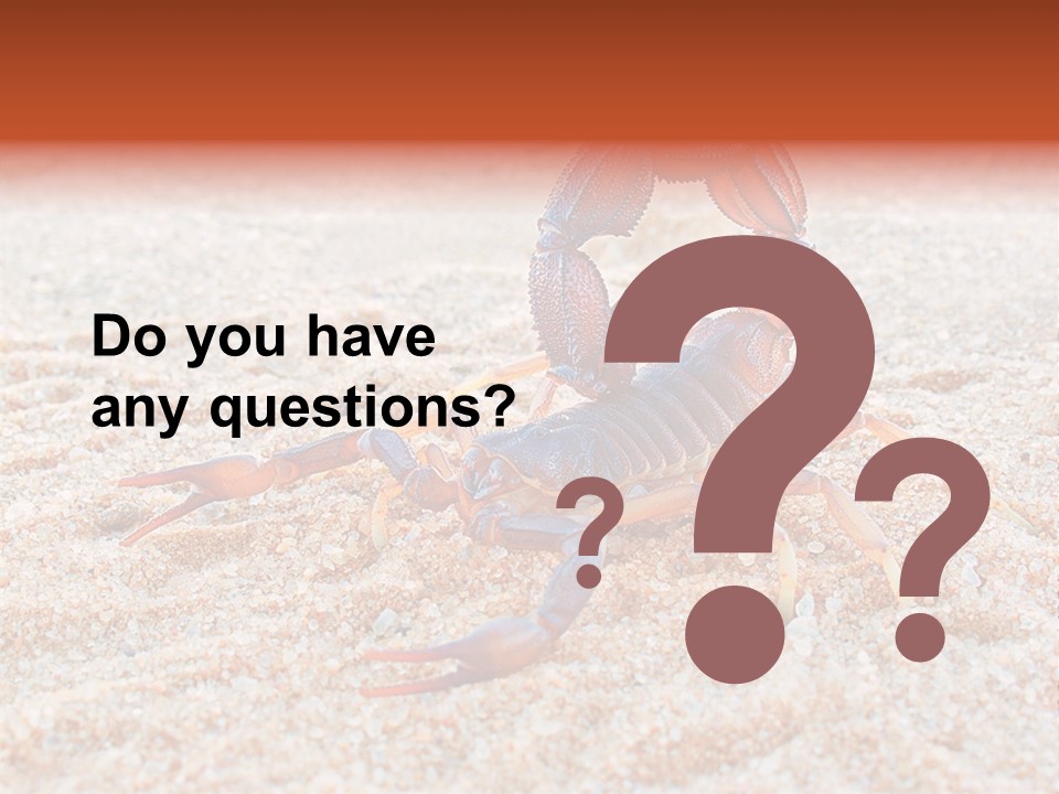 Aggression Scorpion Aggressive PowerPoint Template