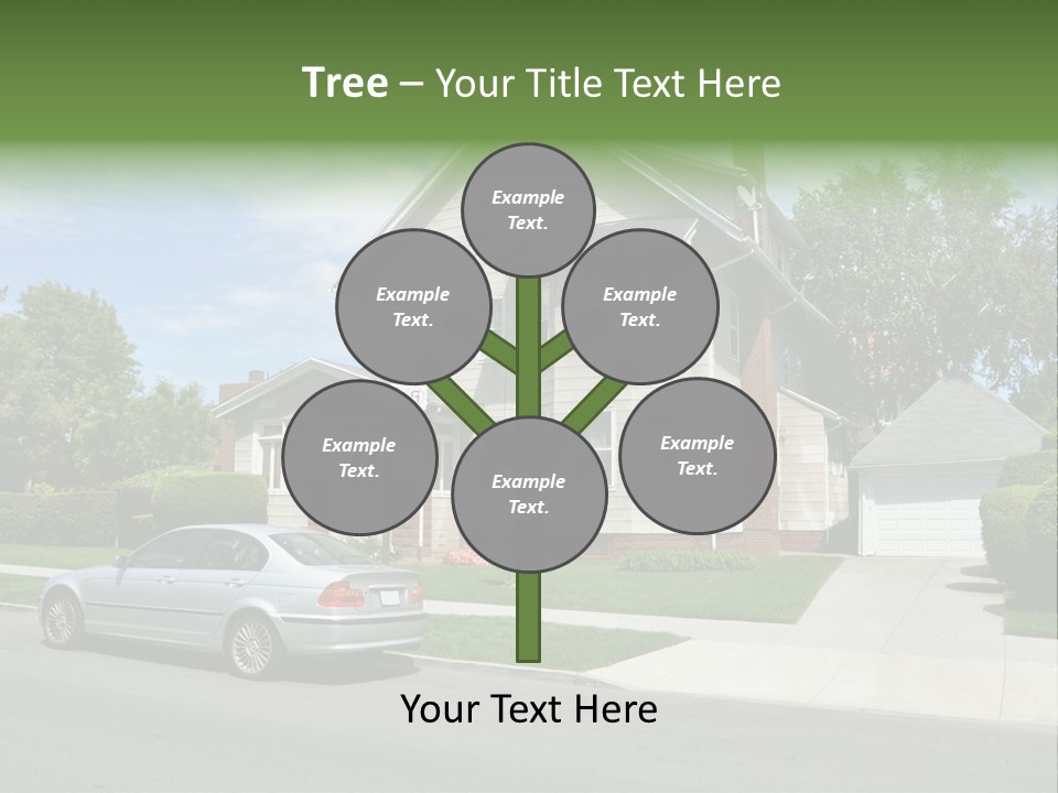 Trees Three Style PowerPoint Template