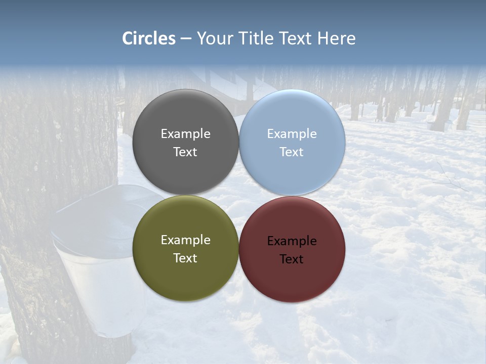 Aluminum Wood Bark PowerPoint Template