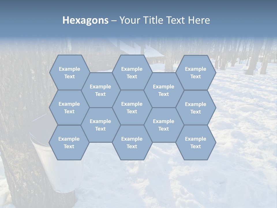 Aluminum Wood Bark PowerPoint Template