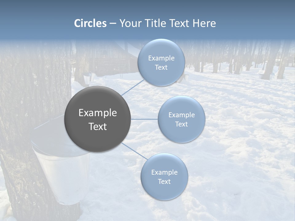 Aluminum Wood Bark PowerPoint Template