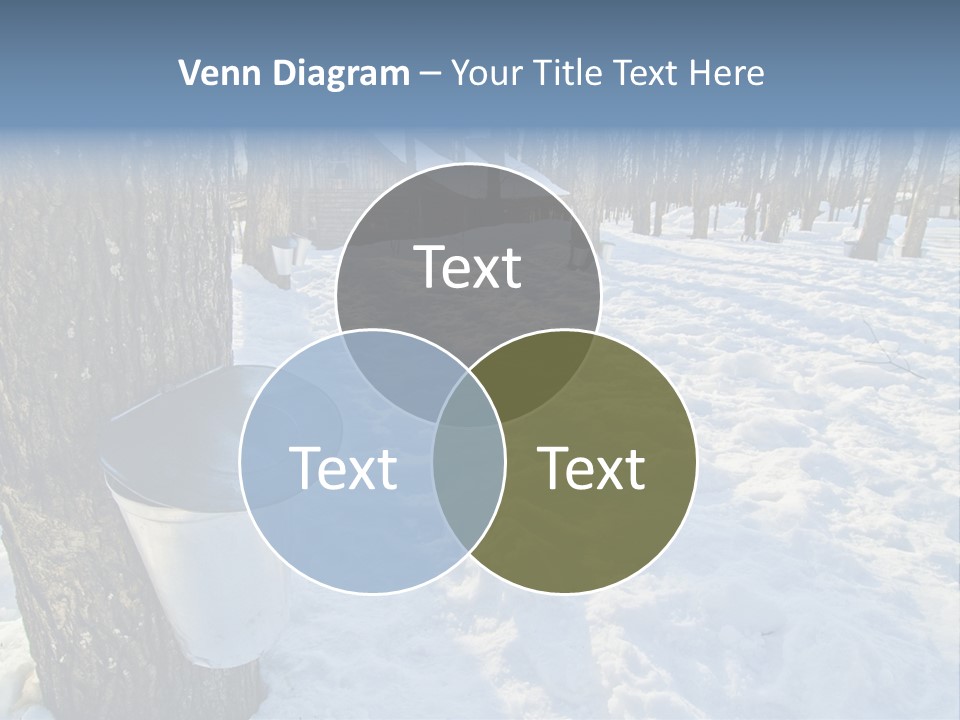 Aluminum Wood Bark PowerPoint Template