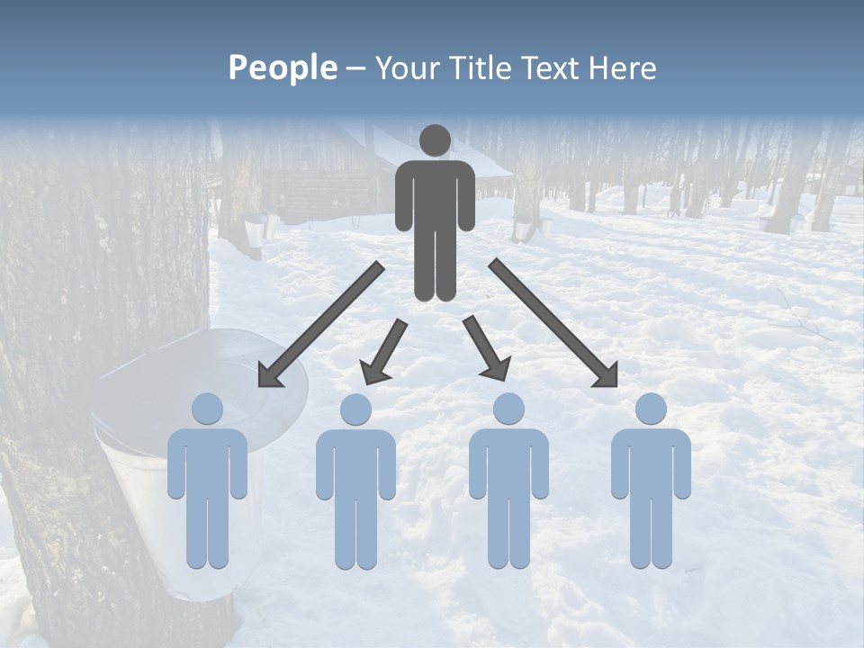 Aluminum Wood Bark PowerPoint Template