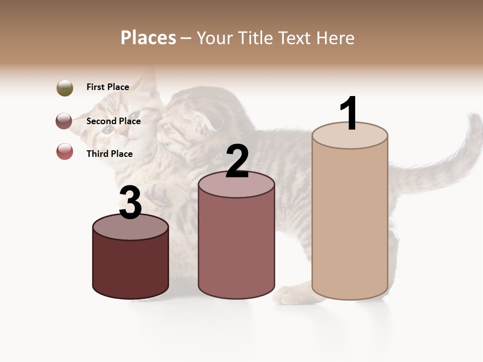 British Toddler Whiskers PowerPoint Template