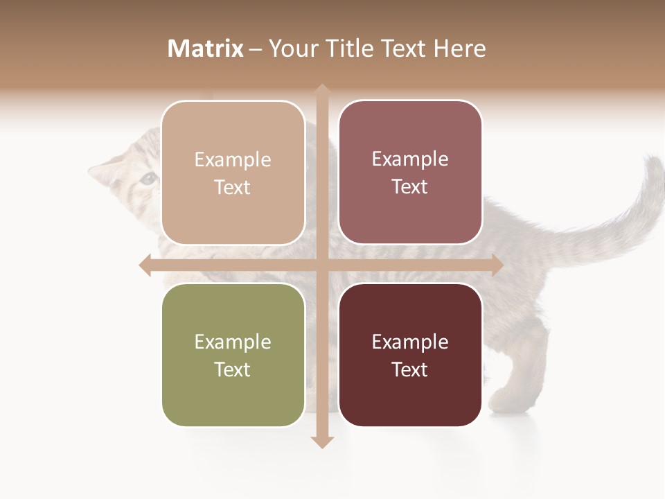 British Toddler Whiskers PowerPoint Template