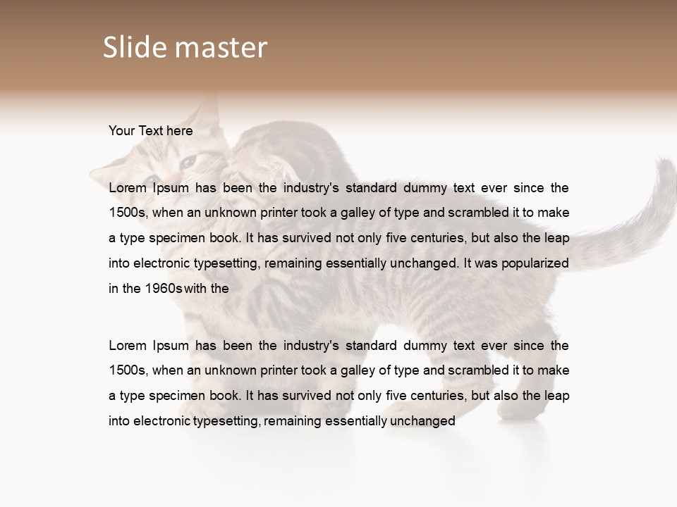 British Toddler Whiskers PowerPoint Template