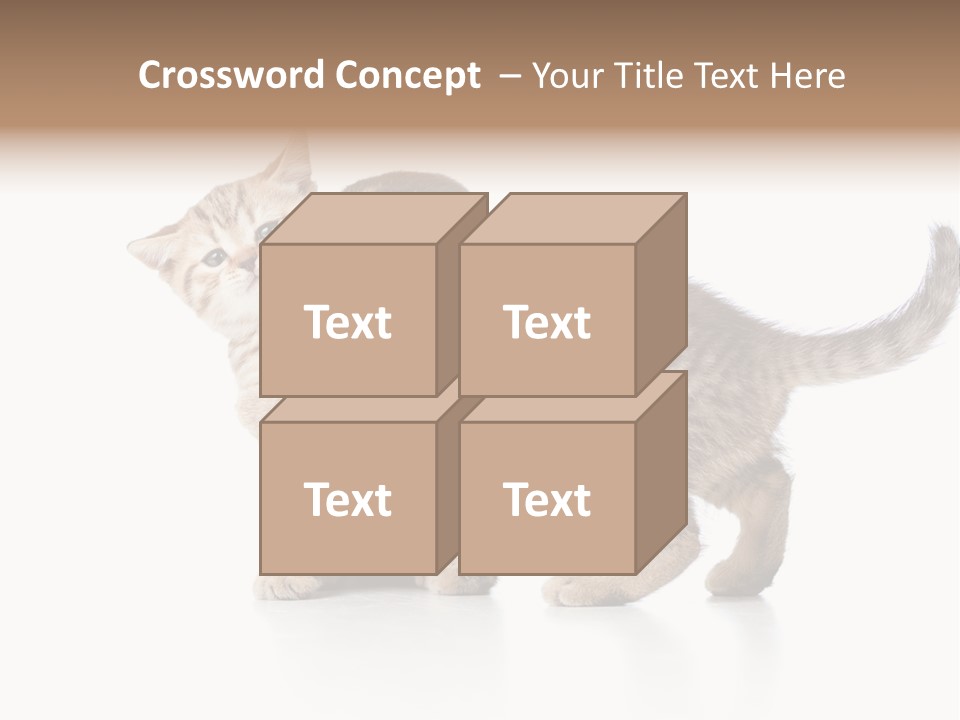 British Toddler Whiskers PowerPoint Template