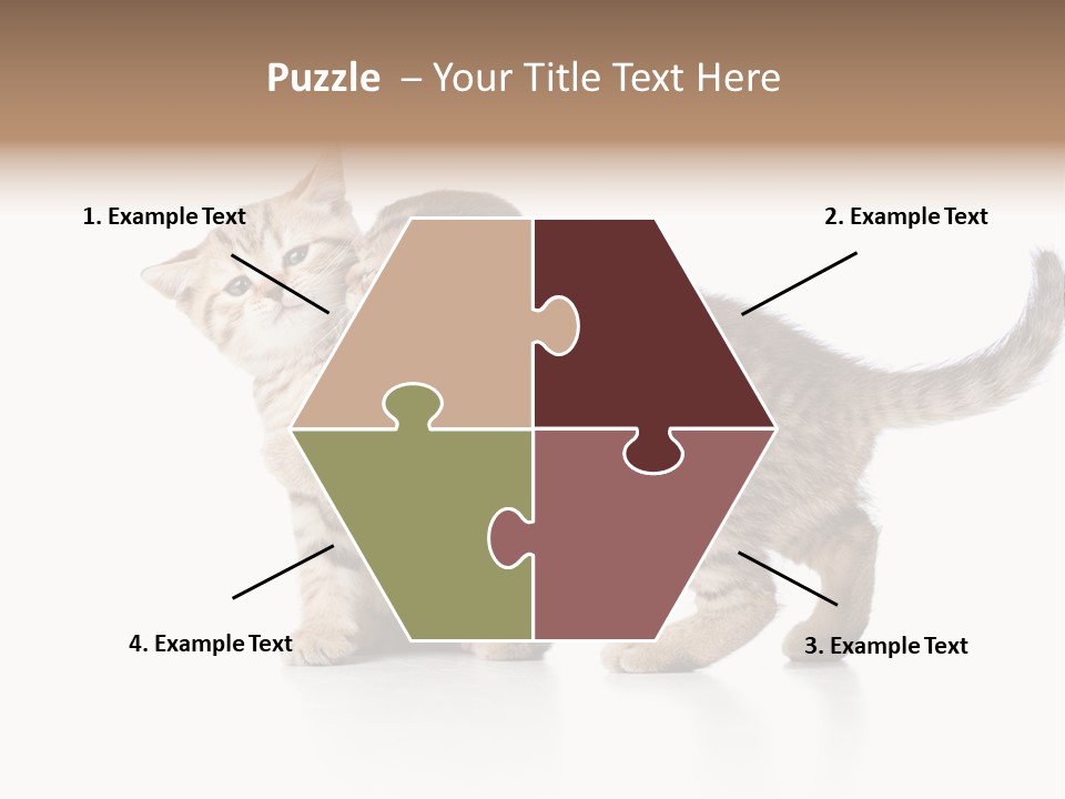 British Toddler Whiskers PowerPoint Template