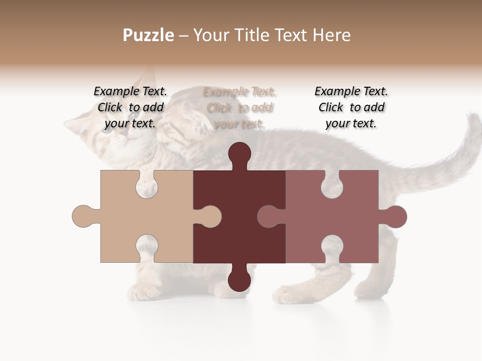 British Toddler Whiskers PowerPoint Template