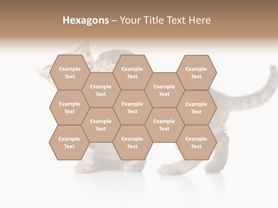 British Toddler Whiskers PowerPoint Template