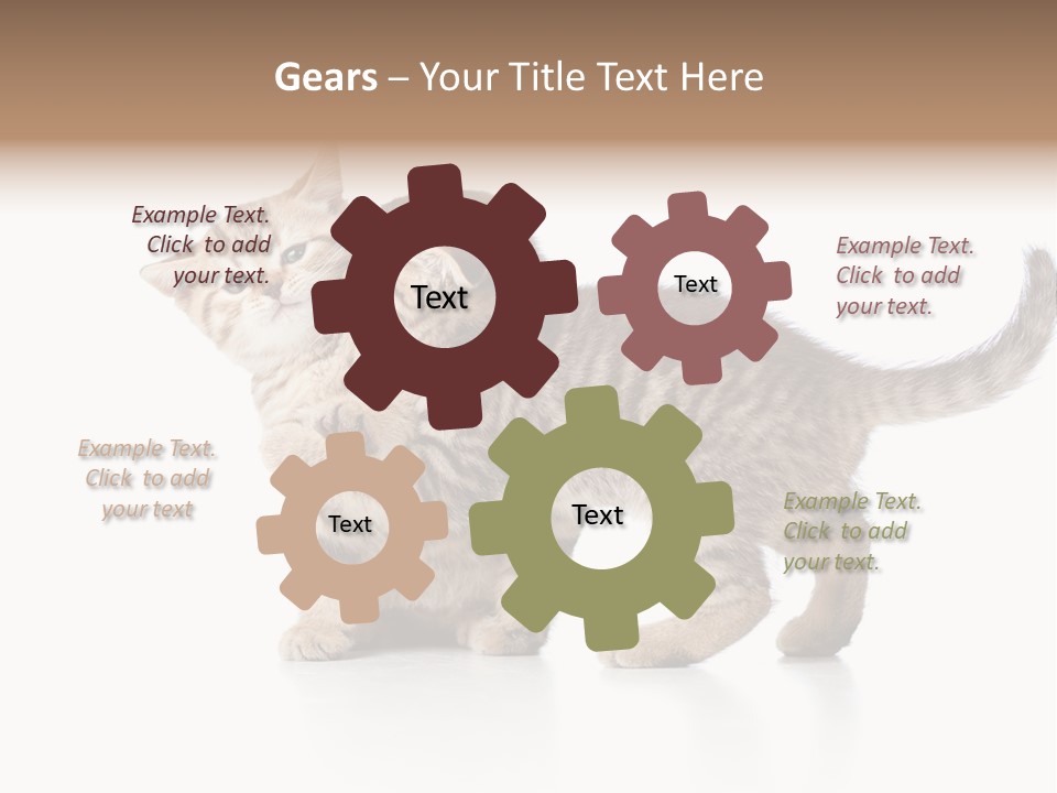 British Toddler Whiskers PowerPoint Template