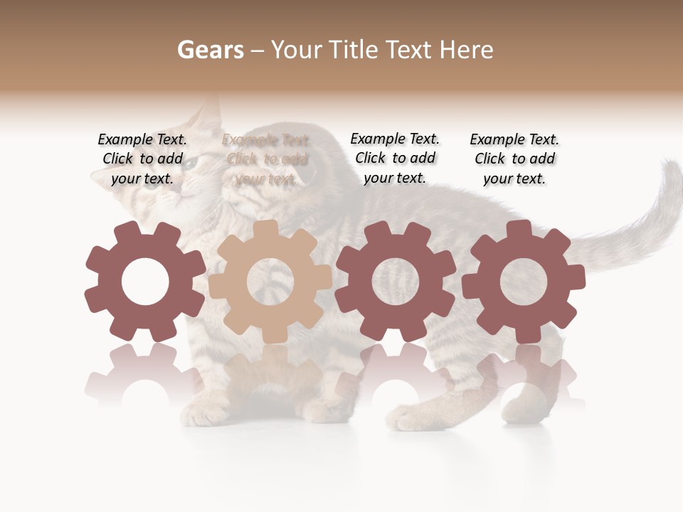 British Toddler Whiskers PowerPoint Template