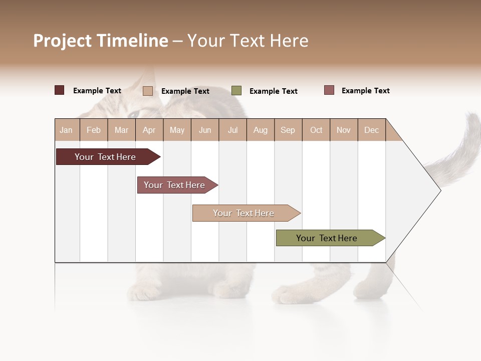 British Toddler Whiskers PowerPoint Template