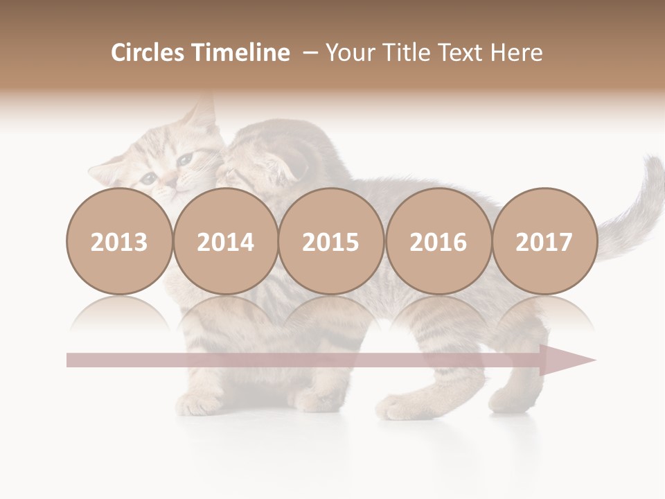 British Toddler Whiskers PowerPoint Template