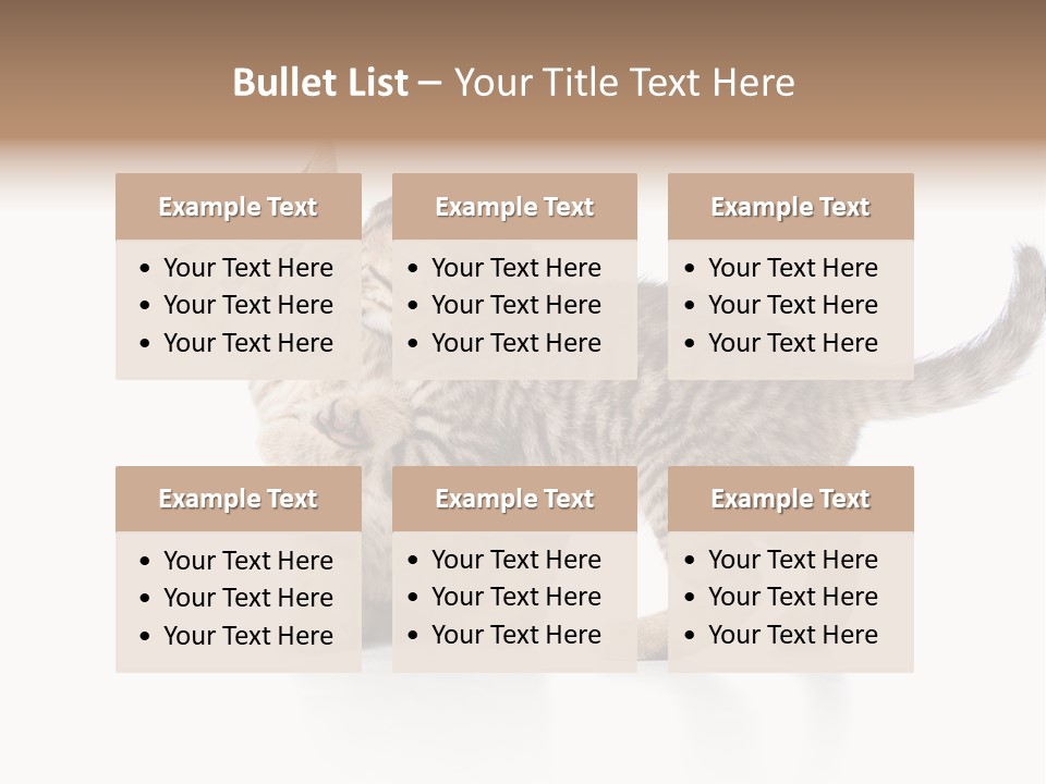 British Toddler Whiskers PowerPoint Template