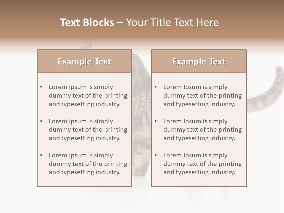 British Toddler Whiskers PowerPoint Template