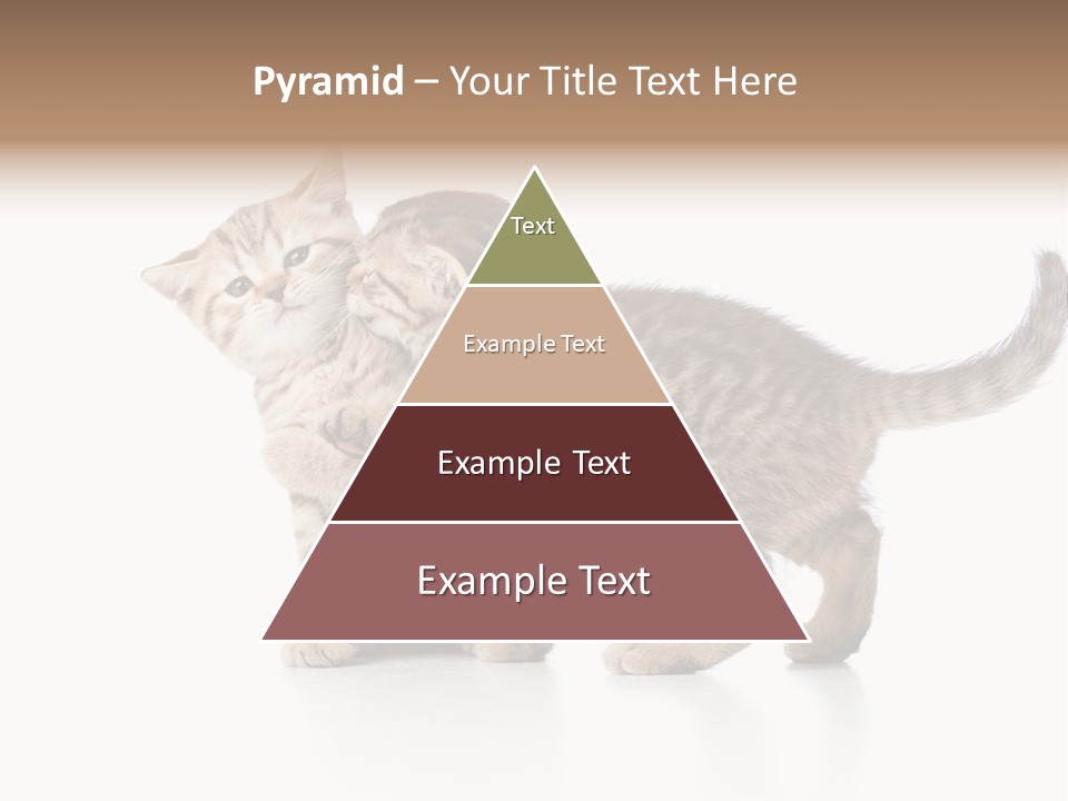 British Toddler Whiskers PowerPoint Template